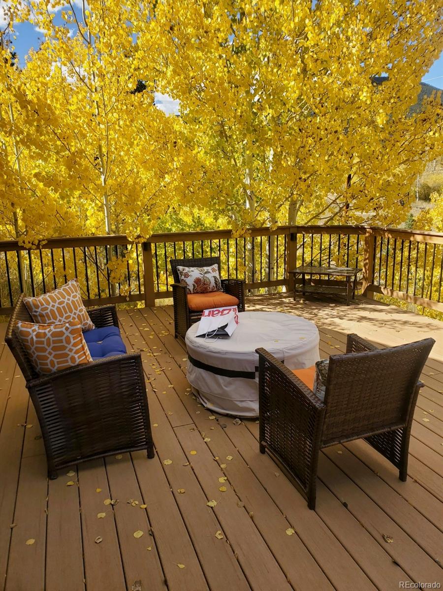 MLS Image #2 for 124  prospectors way,bailey, Colorado