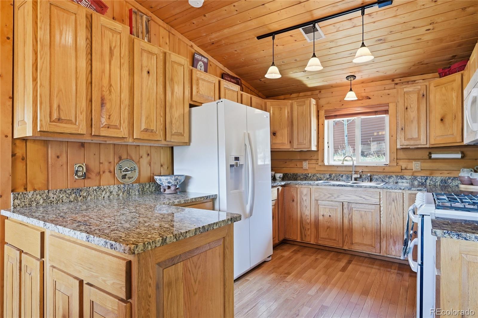 MLS Image #21 for 124  prospectors way,bailey, Colorado