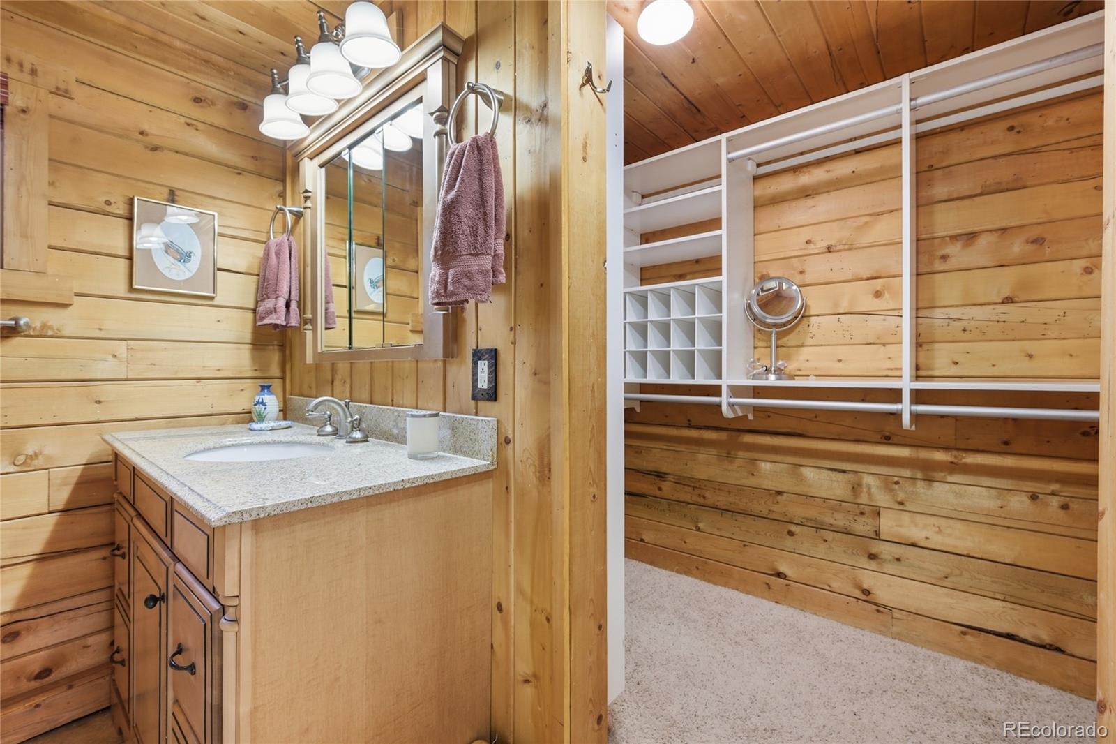MLS Image #29 for 124  prospectors way,bailey, Colorado