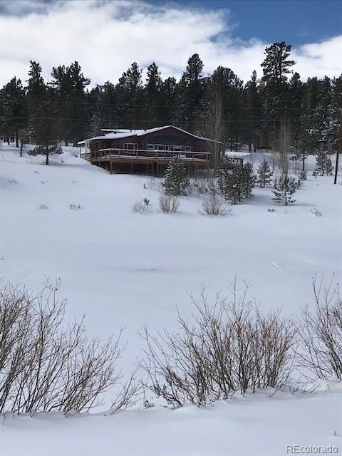 MLS Image #3 for 124  prospectors way,bailey, Colorado