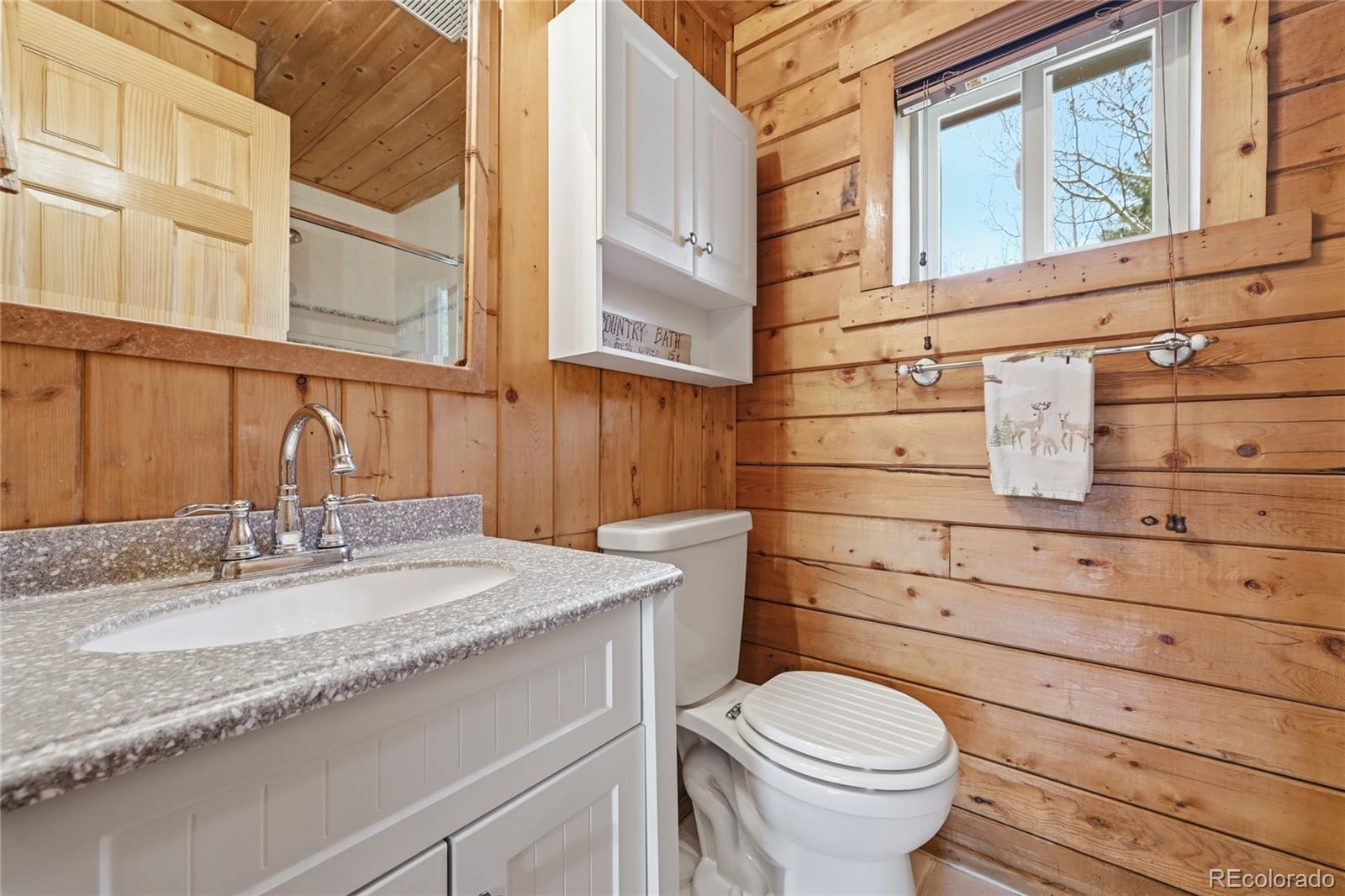 MLS Image #31 for 124  prospectors way,bailey, Colorado