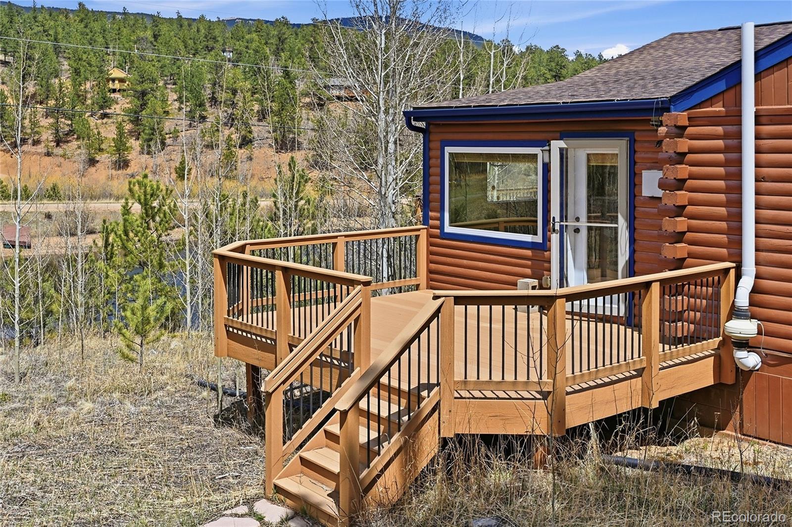 MLS Image #6 for 124  prospectors way,bailey, Colorado
