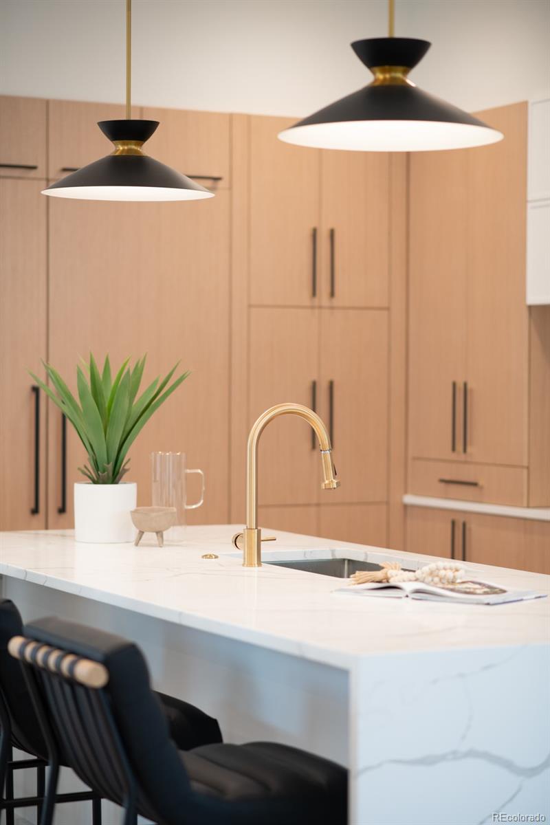 MLS Image #9 for 1466 s gaylord street,denver, Colorado