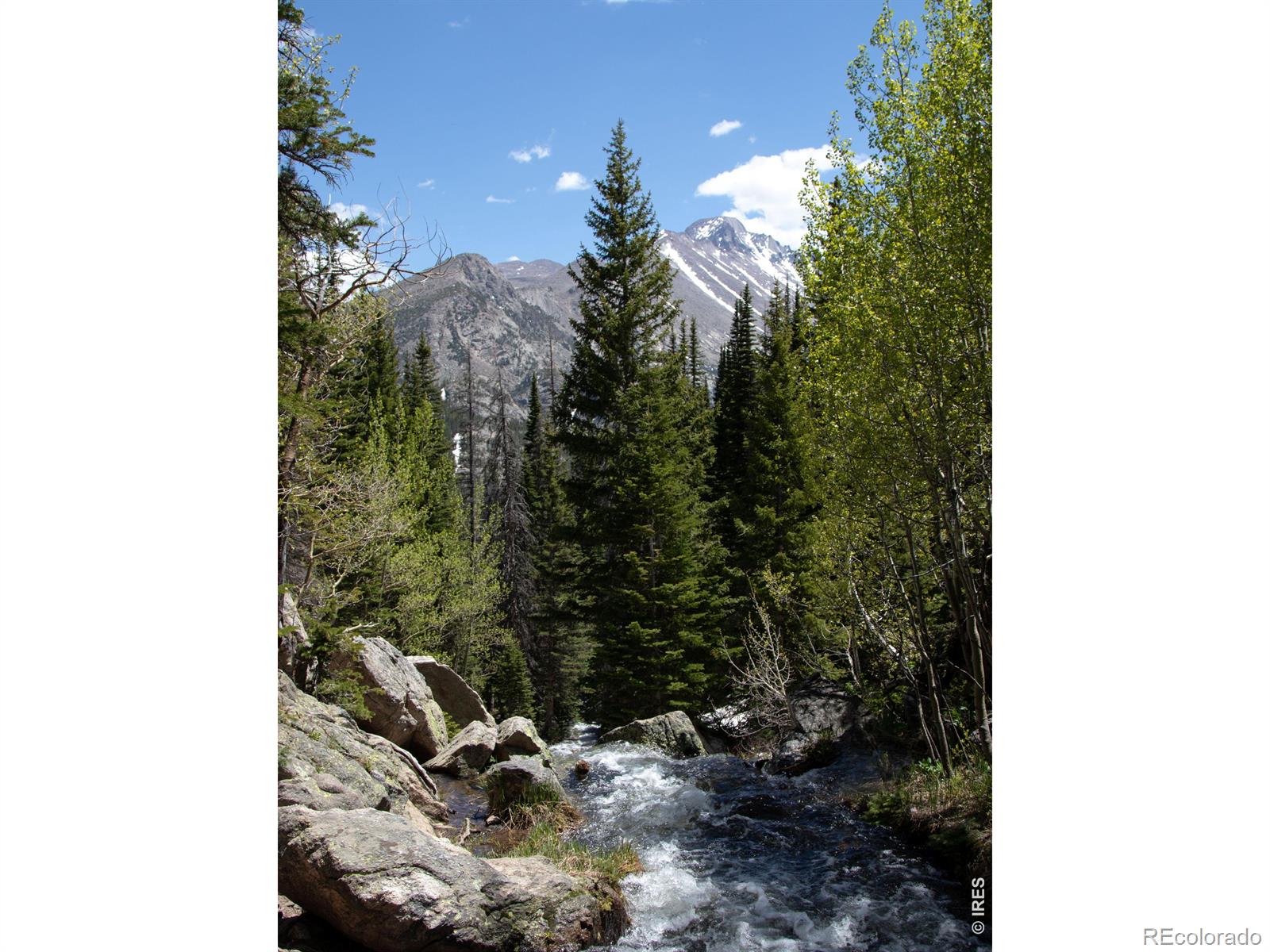 MLS Image #43 for 624  park river place,estes park, Colorado