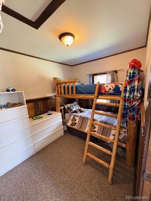 MLS Image #12 for 158  green mountain avenue,silverthorne, Colorado