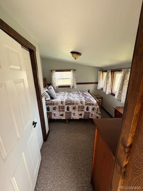 MLS Image #8 for 158  green mountain avenue,silverthorne, Colorado