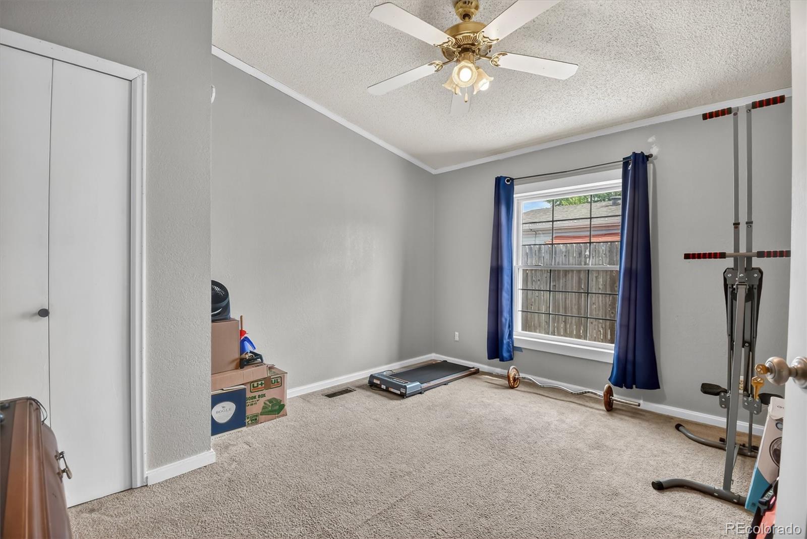MLS Image #11 for 213  versailles street,lochbuie, Colorado