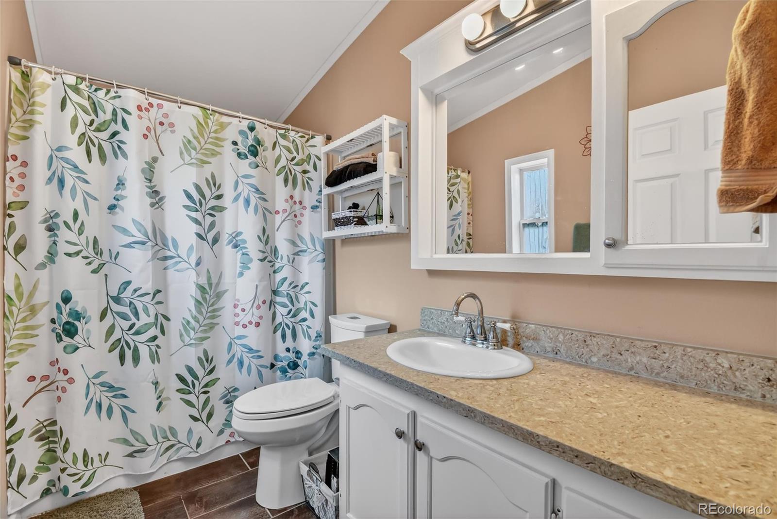 MLS Image #17 for 213  versailles street,lochbuie, Colorado