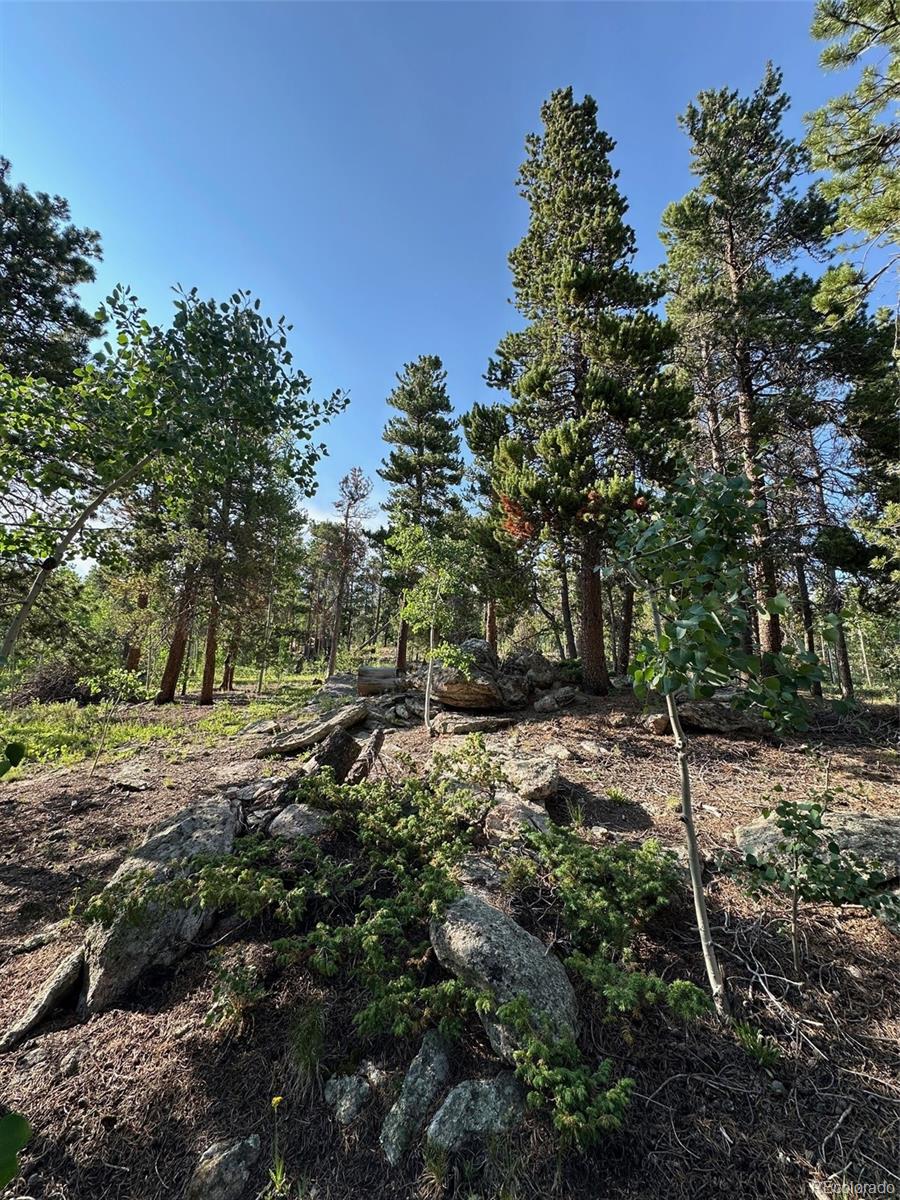 MLS Image #10 for 221  timber drive,black hawk, Colorado