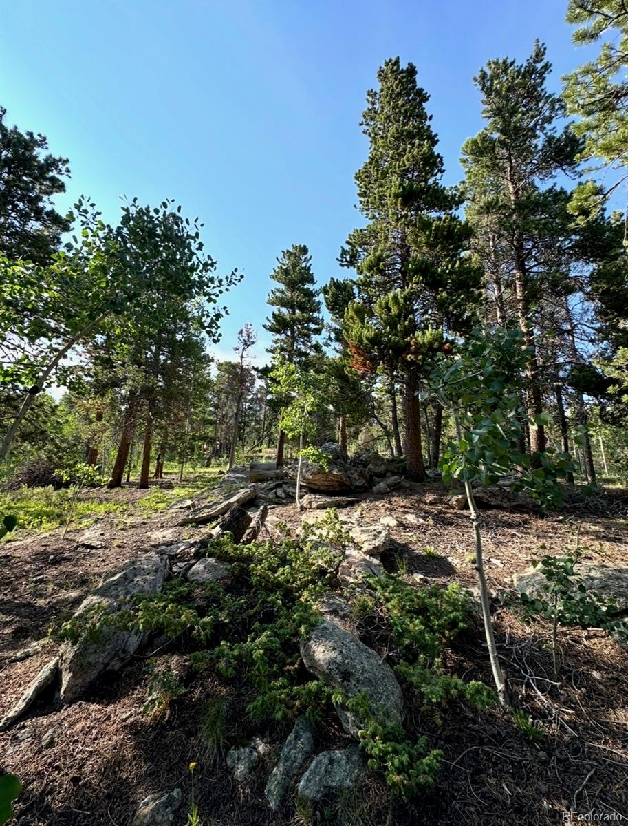 MLS Image #8 for 221  timber drive,black hawk, Colorado