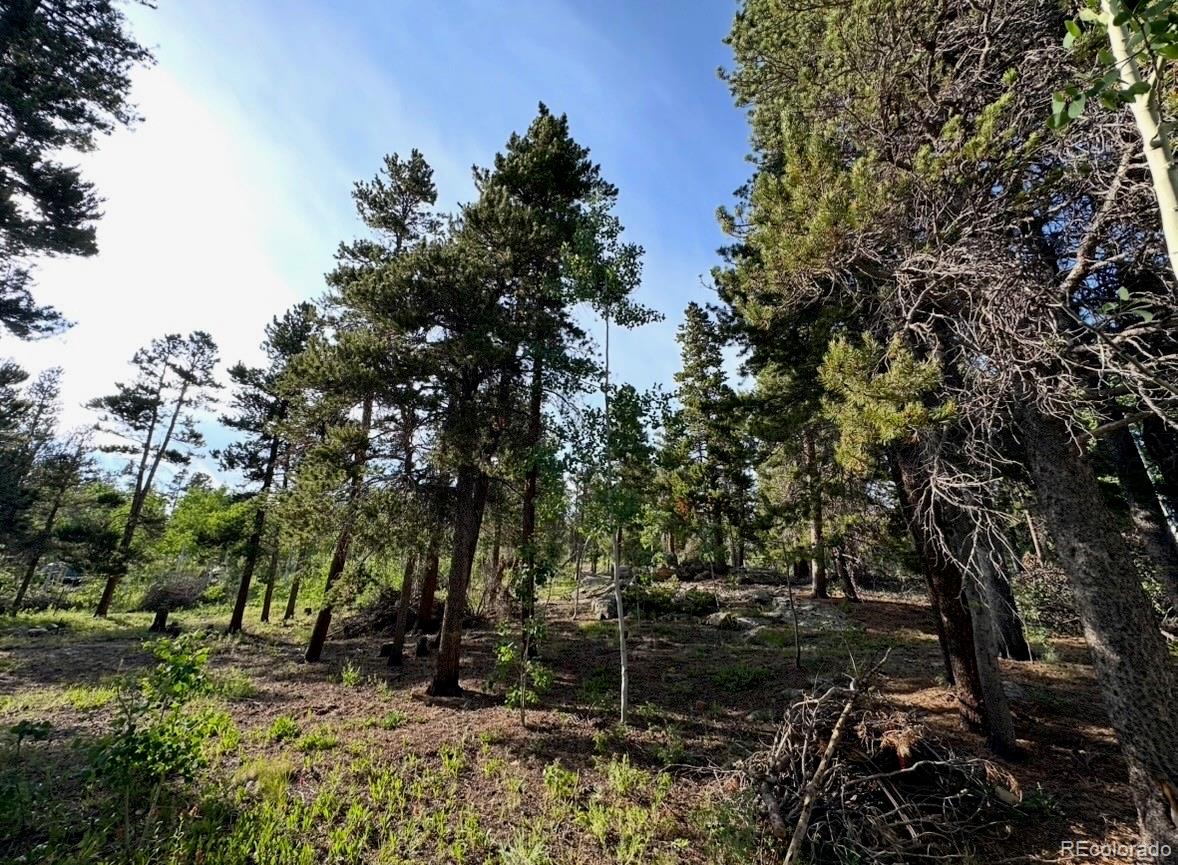 MLS Image #9 for 221  timber drive,black hawk, Colorado