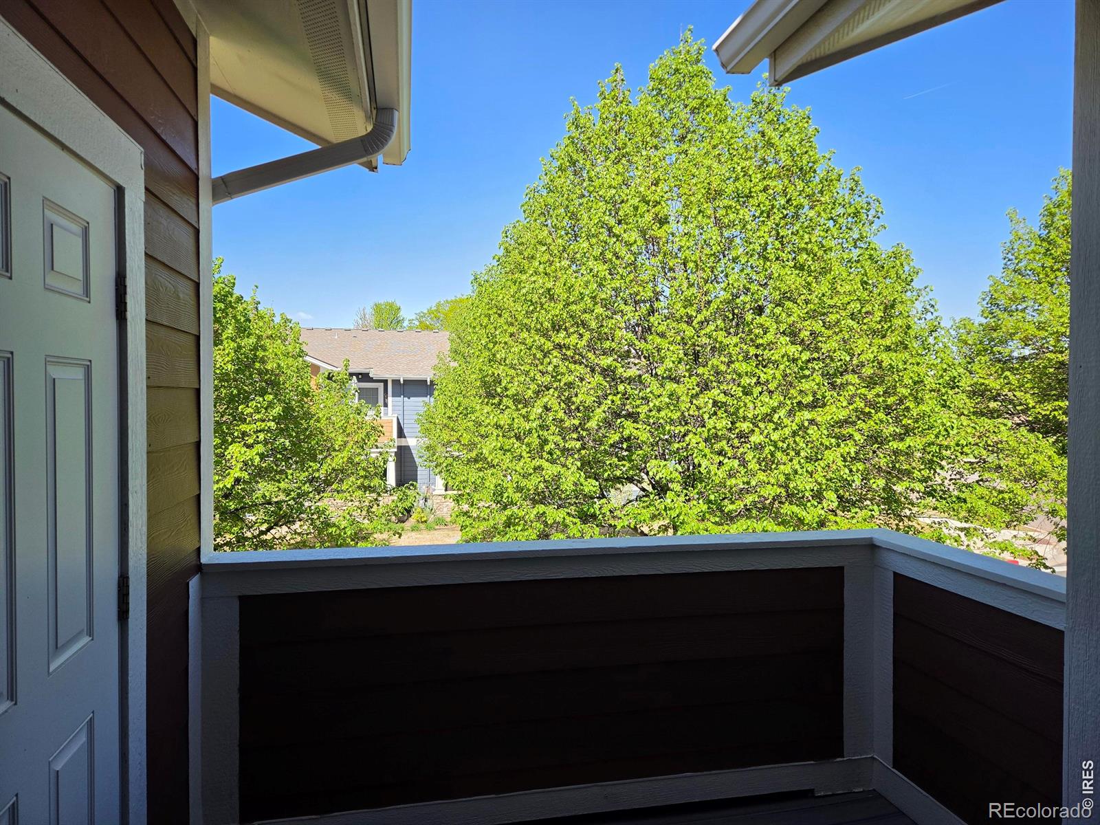 MLS Image #22 for 2202  owens avenue,fort collins, Colorado