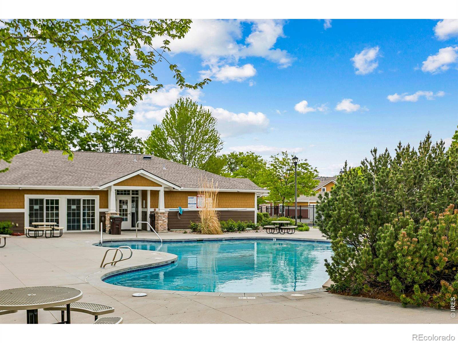 MLS Image #23 for 2202  owens avenue,fort collins, Colorado