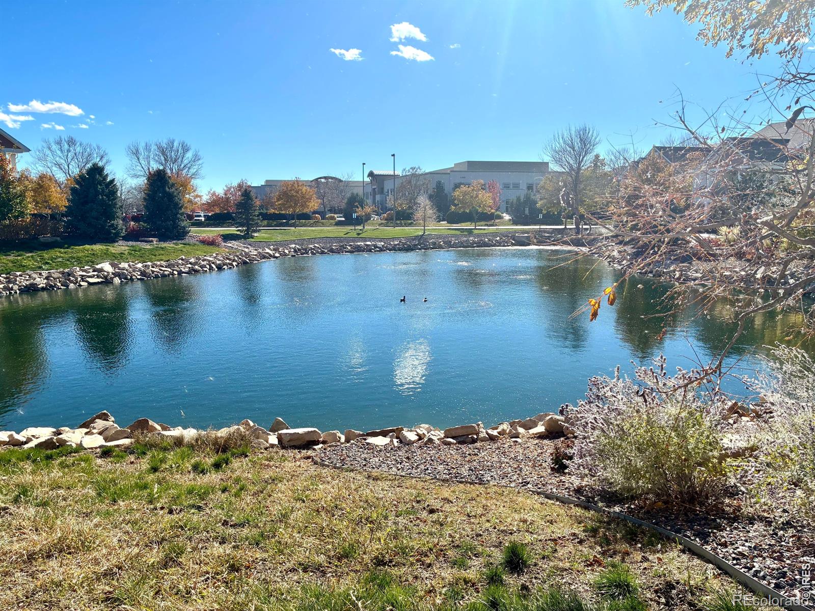 MLS Image #0 for 4835  hahns peak drive,loveland, Colorado
