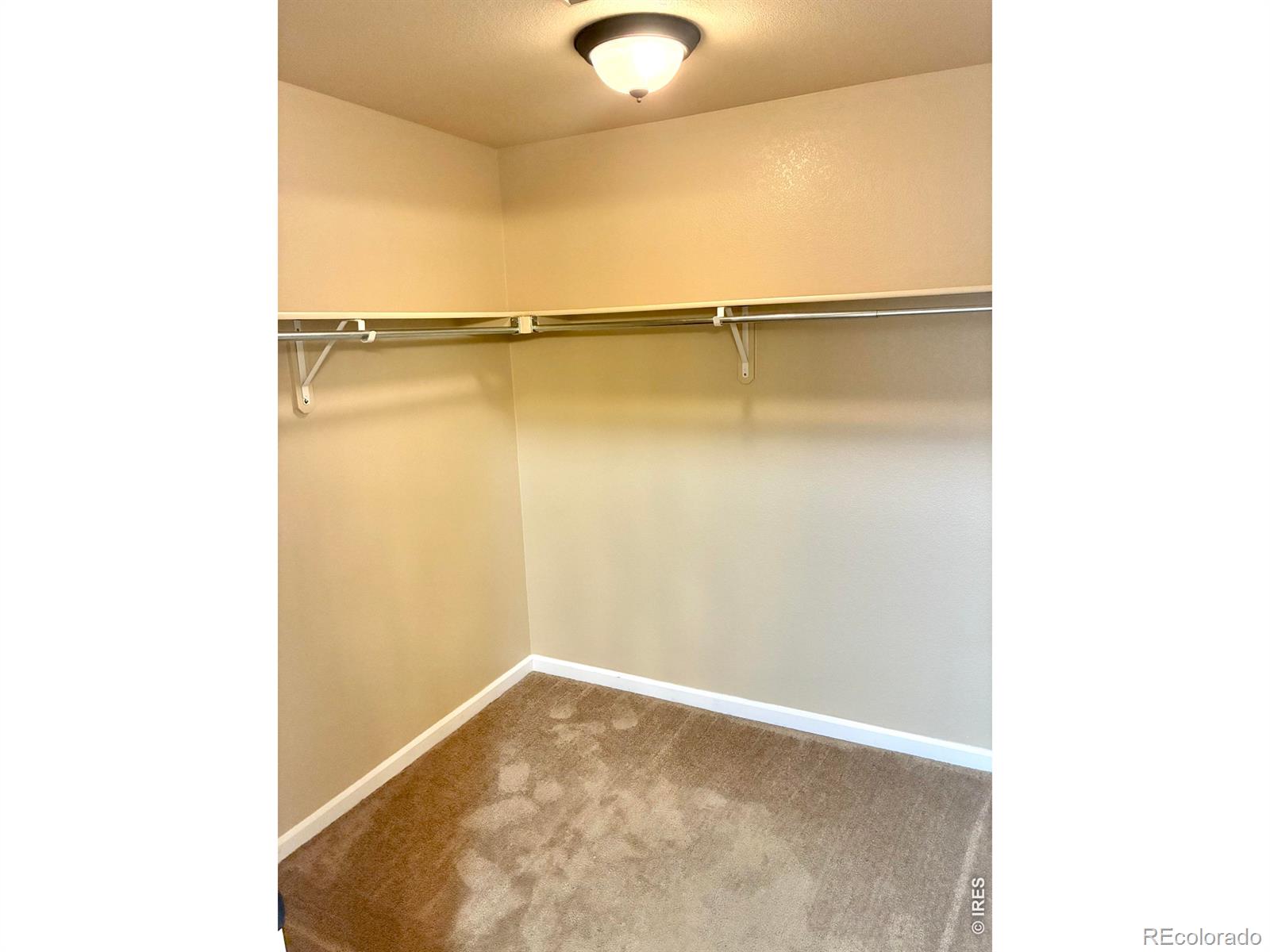 MLS Image #16 for 4835  hahns peak drive,loveland, Colorado