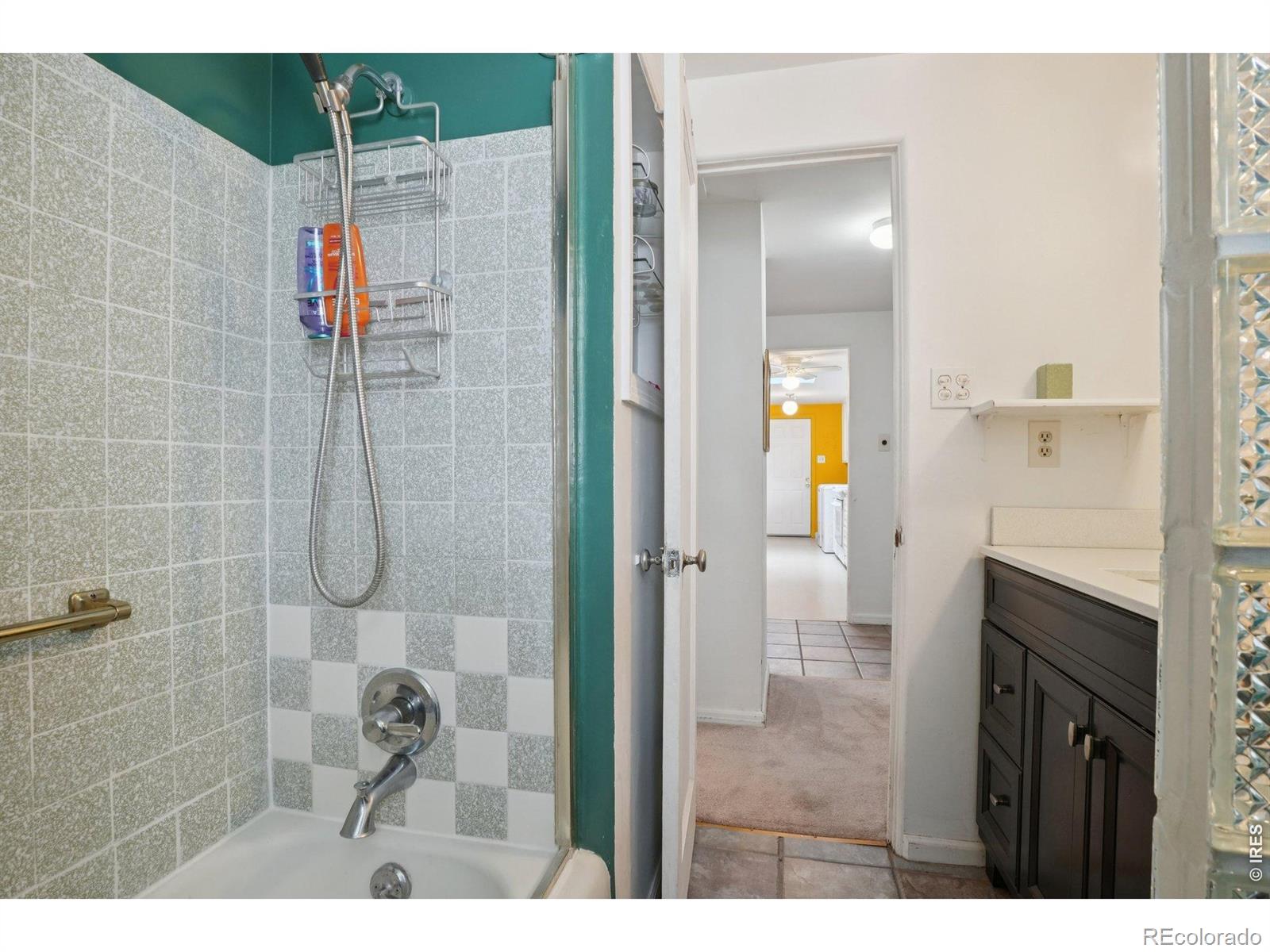 MLS Image #21 for 1110 s quitman street,denver, Colorado