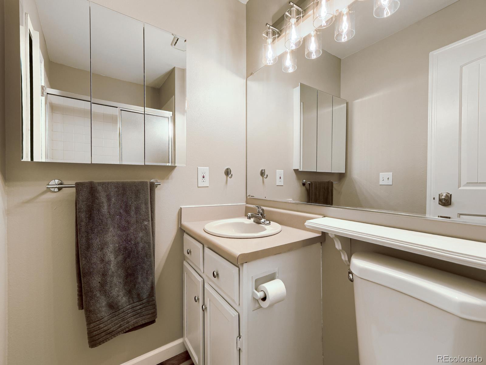 MLS Image #20 for 556  longfellow lane,highlands ranch, Colorado