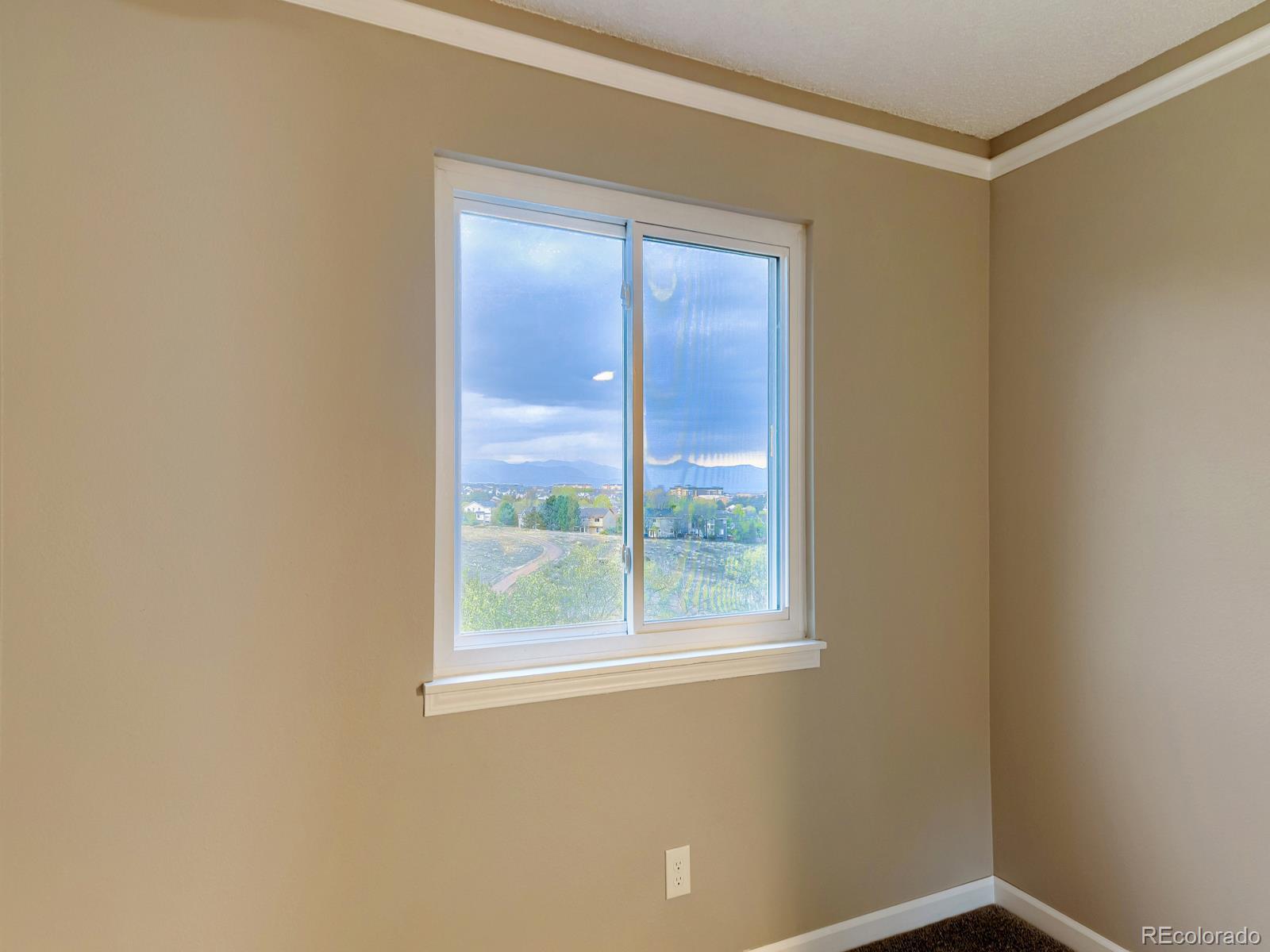 MLS Image #32 for 556  longfellow lane,highlands ranch, Colorado