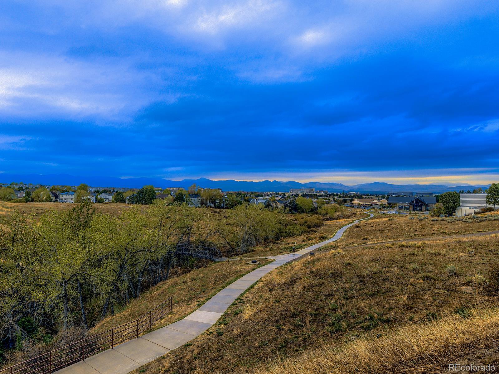 MLS Image #5 for 556  longfellow lane,highlands ranch, Colorado
