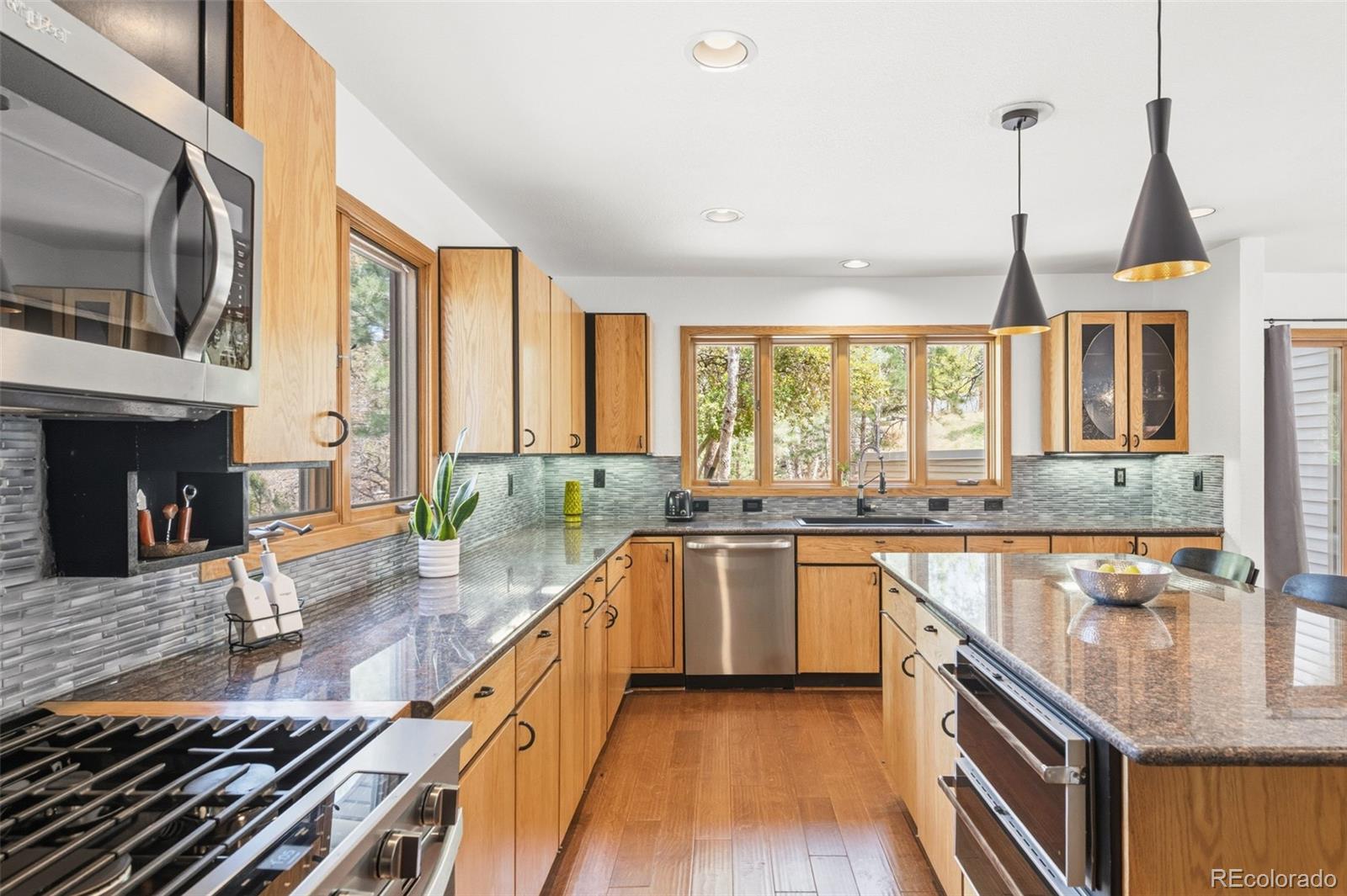 MLS Image #10 for 6001 n villard court,parker, Colorado