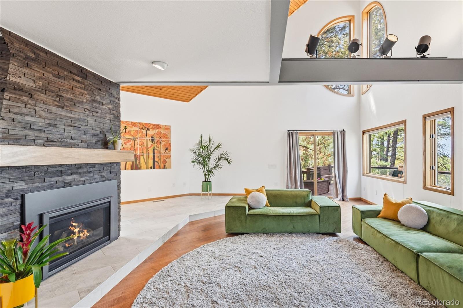 MLS Image #12 for 6001 n villard court,parker, Colorado