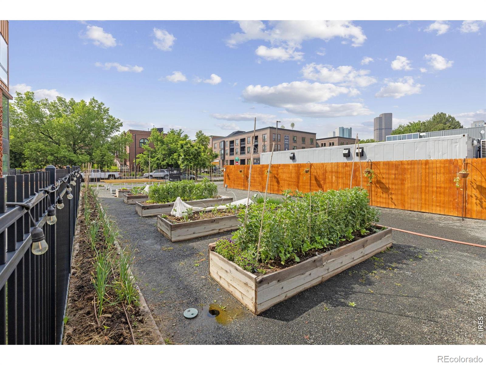 MLS Image #19 for 2525  arapahoe street,denver, Colorado