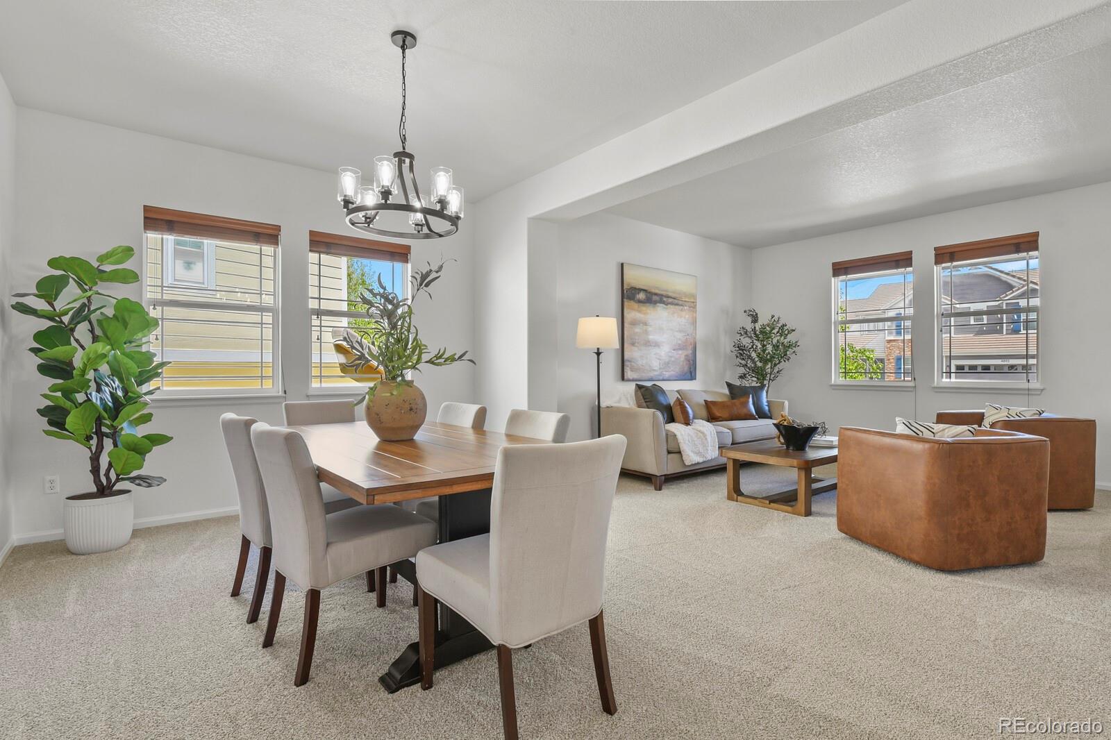 MLS Image #6 for 4888  persimmon lane,castle rock, Colorado