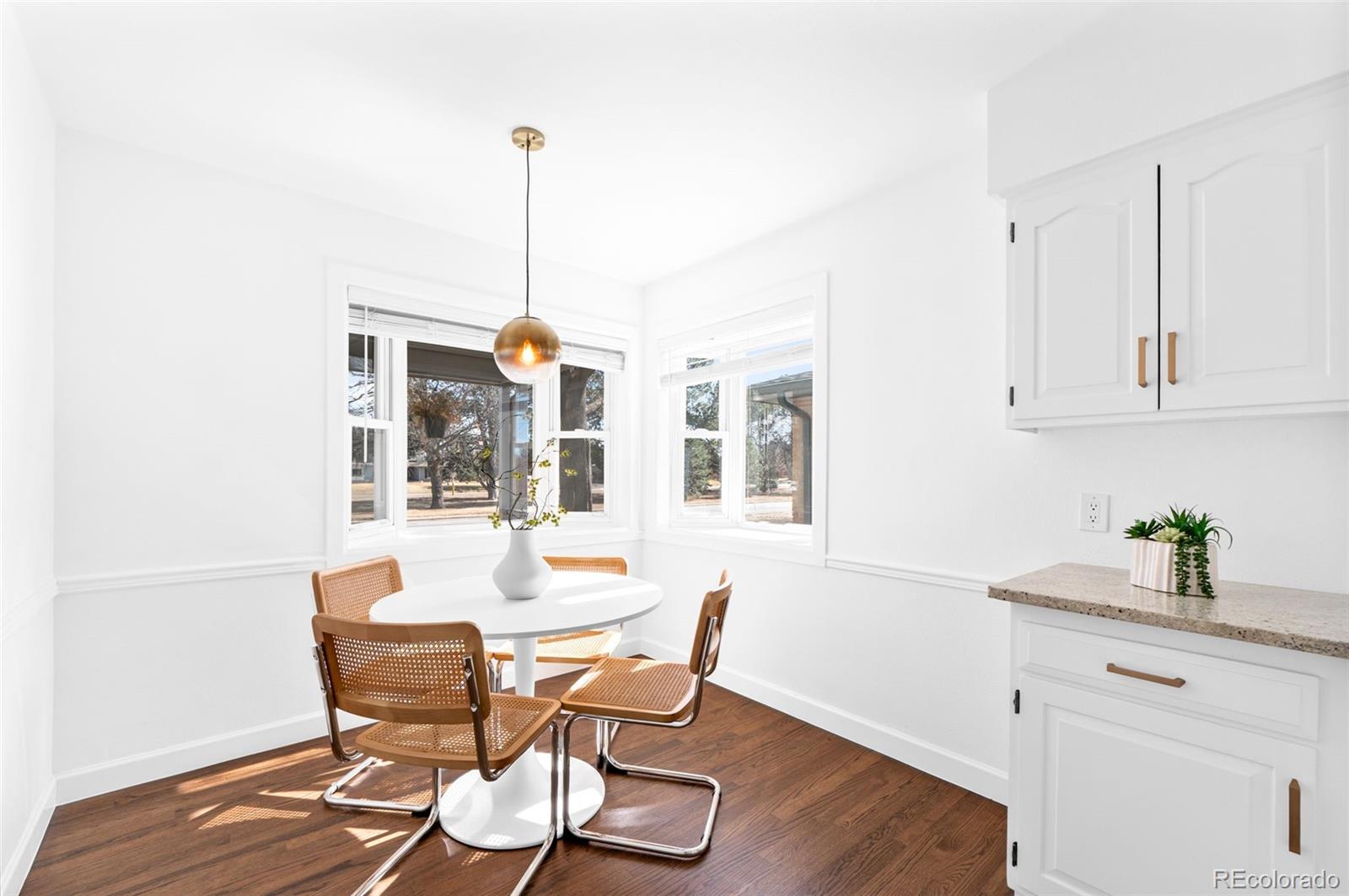 MLS Image #17 for 3035 n monaco st parkway,denver, Colorado