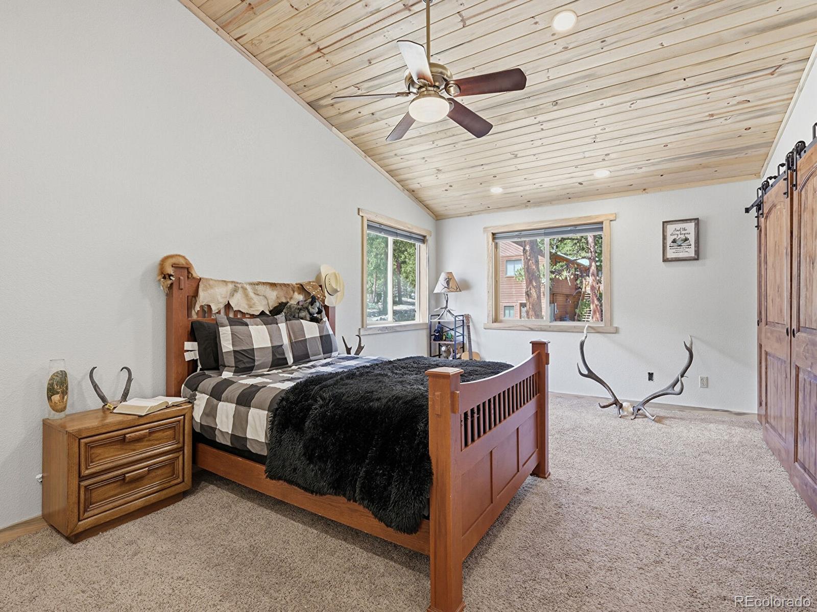 MLS Image #14 for 234  impala trail,bailey, Colorado