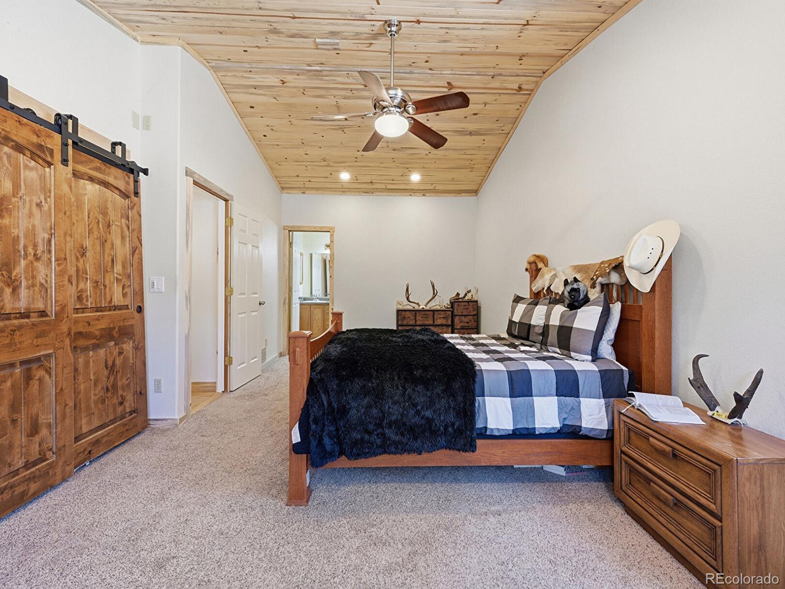 MLS Image #15 for 234  impala trail,bailey, Colorado