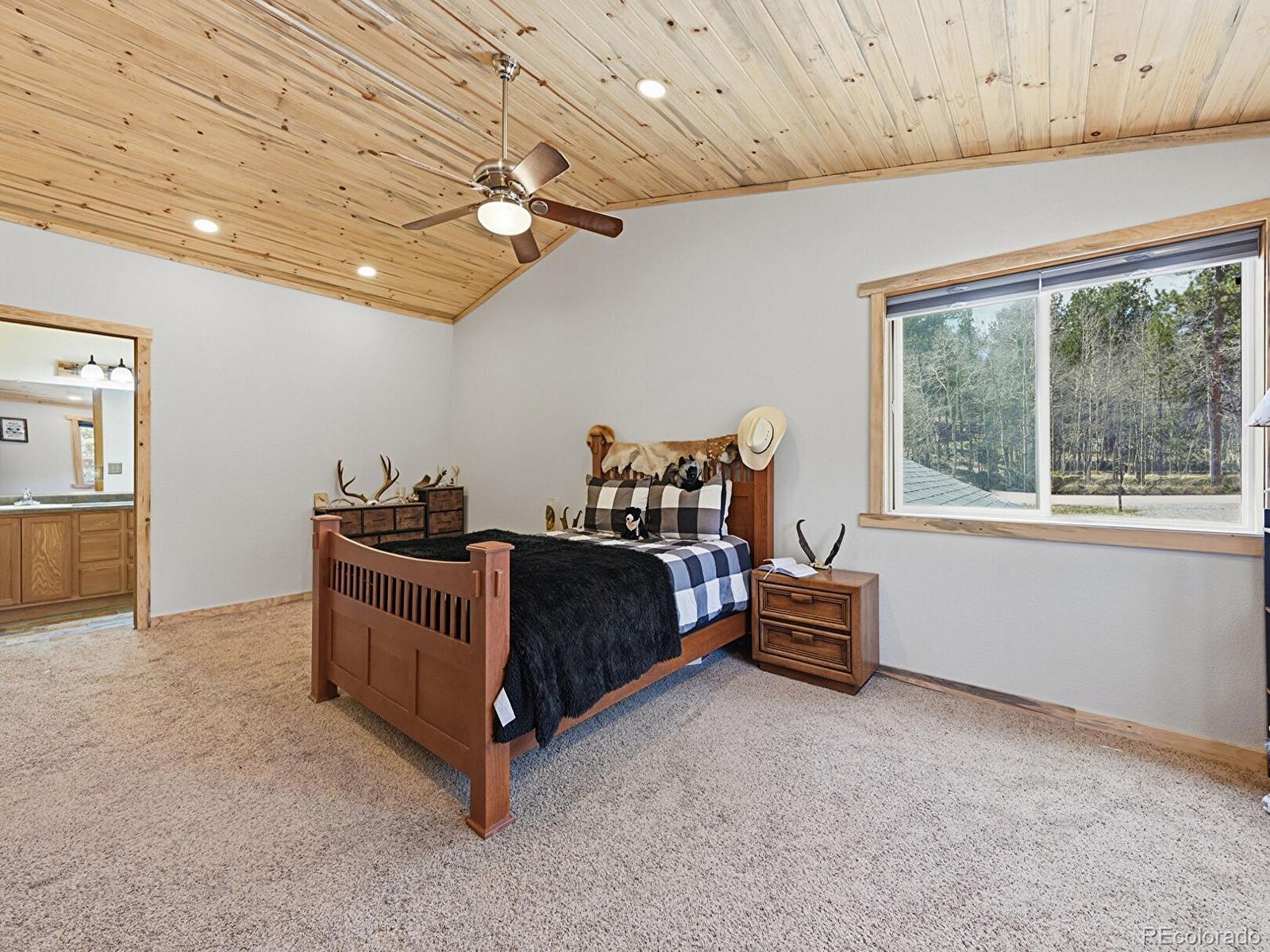 MLS Image #16 for 234  impala trail,bailey, Colorado