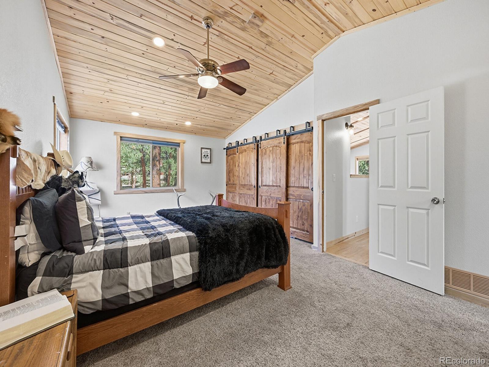 MLS Image #17 for 234  impala trail,bailey, Colorado