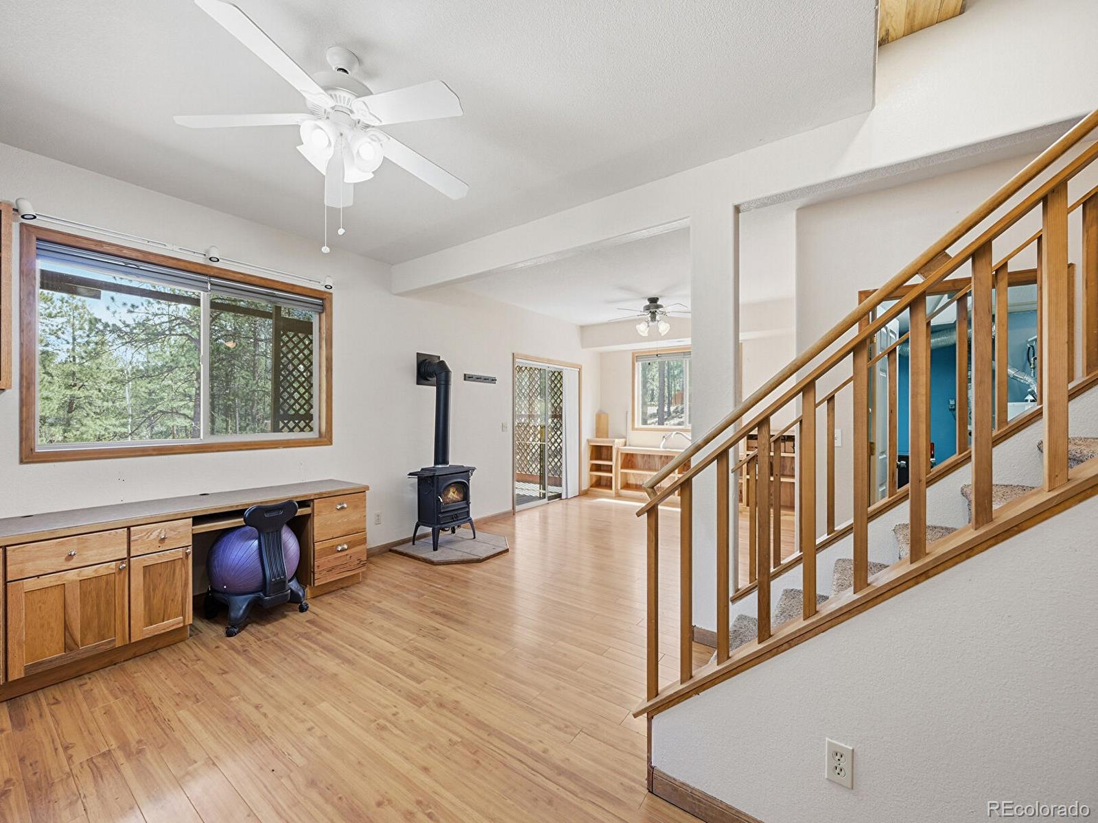MLS Image #20 for 234  impala trail,bailey, Colorado