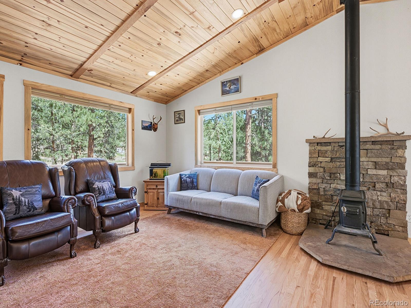 MLS Image #4 for 234  impala trail,bailey, Colorado