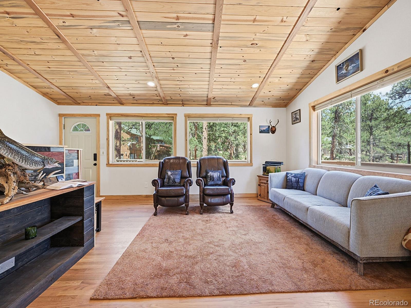MLS Image #5 for 234  impala trail,bailey, Colorado