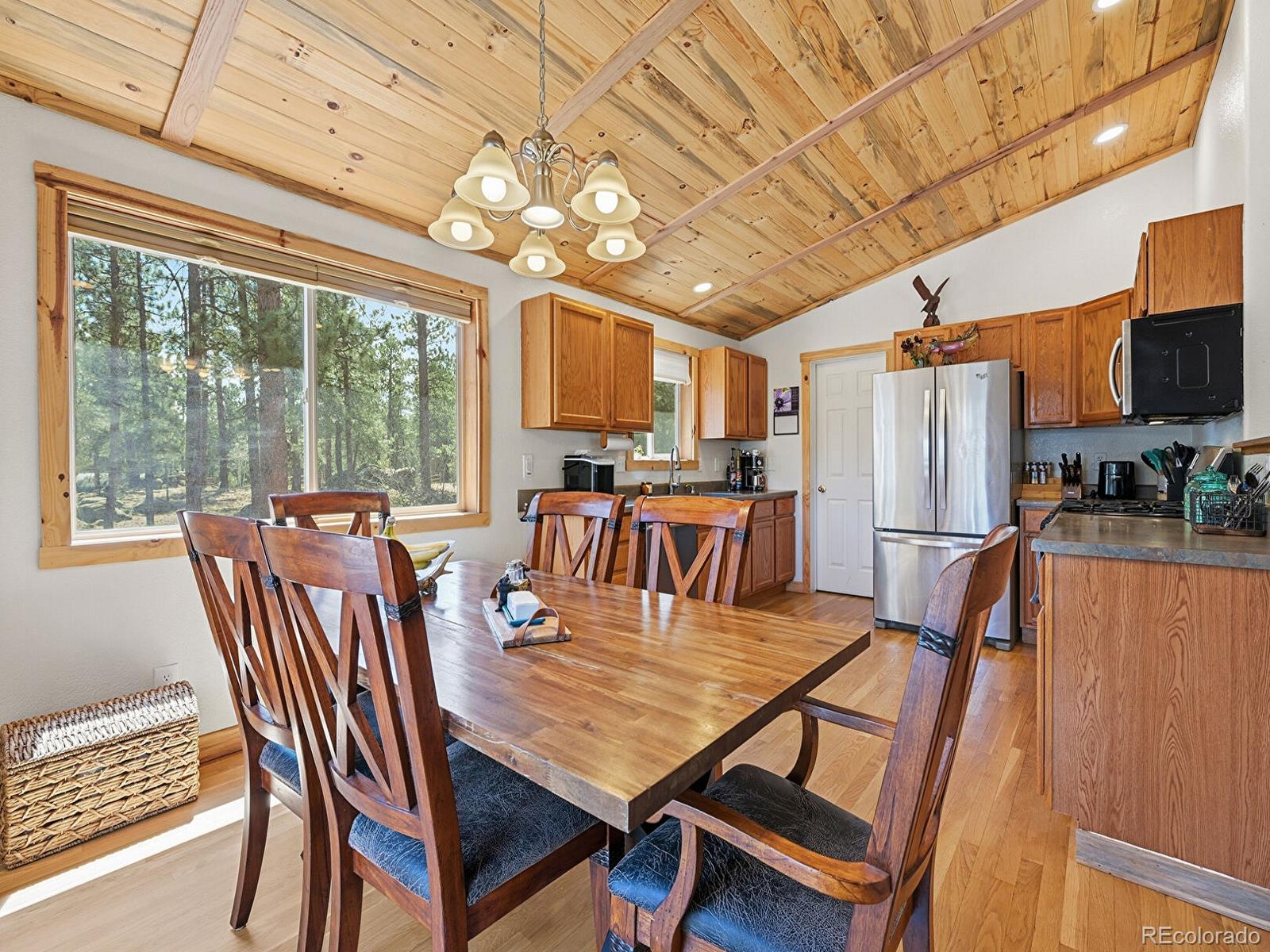MLS Image #9 for 234  impala trail,bailey, Colorado