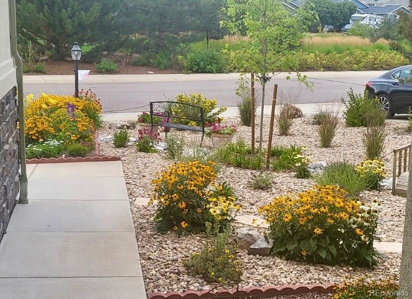 MLS Image #10 for 15382  xenia court,thornton, Colorado