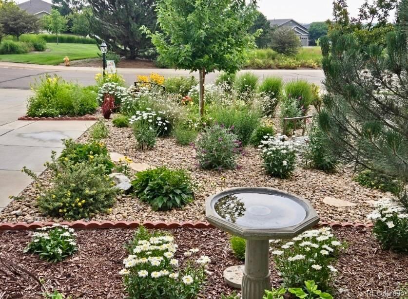 MLS Image #8 for 15382  xenia court,thornton, Colorado