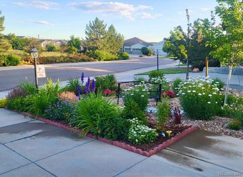MLS Image #9 for 15382  xenia court,thornton, Colorado