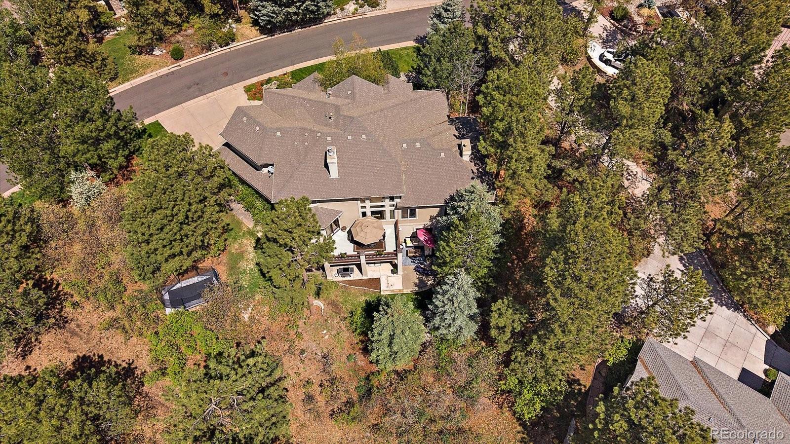 MLS Image #6 for 1332  forest trails drive,castle pines, Colorado
