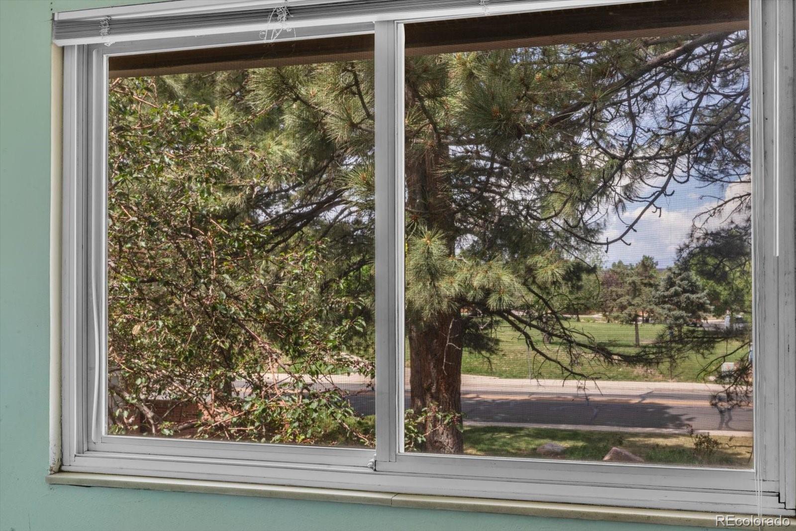 MLS Image #15 for 2036 w 101st avenue,thornton, Colorado
