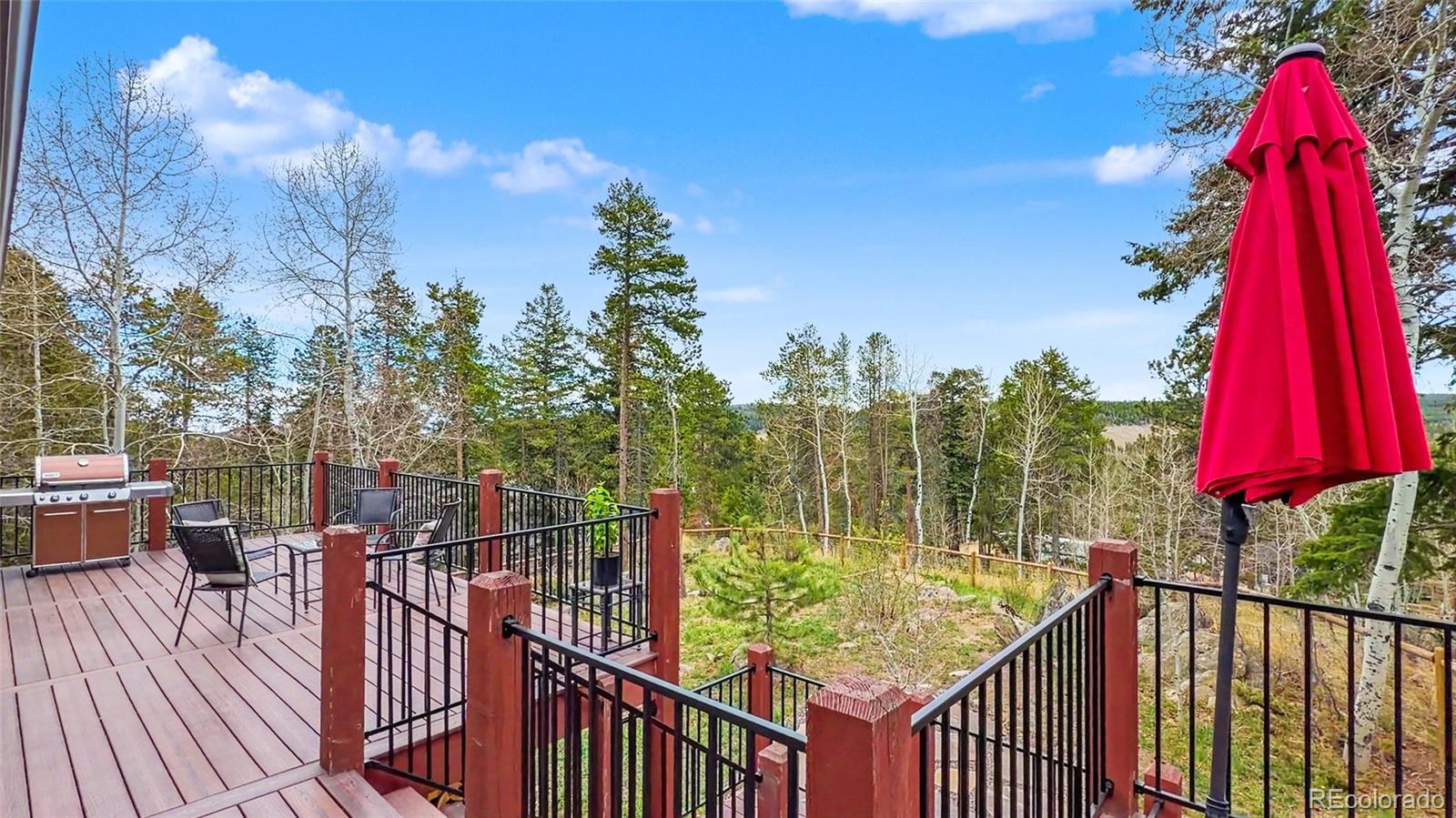 MLS Image #15 for 11049  schweigert avenue,conifer, Colorado