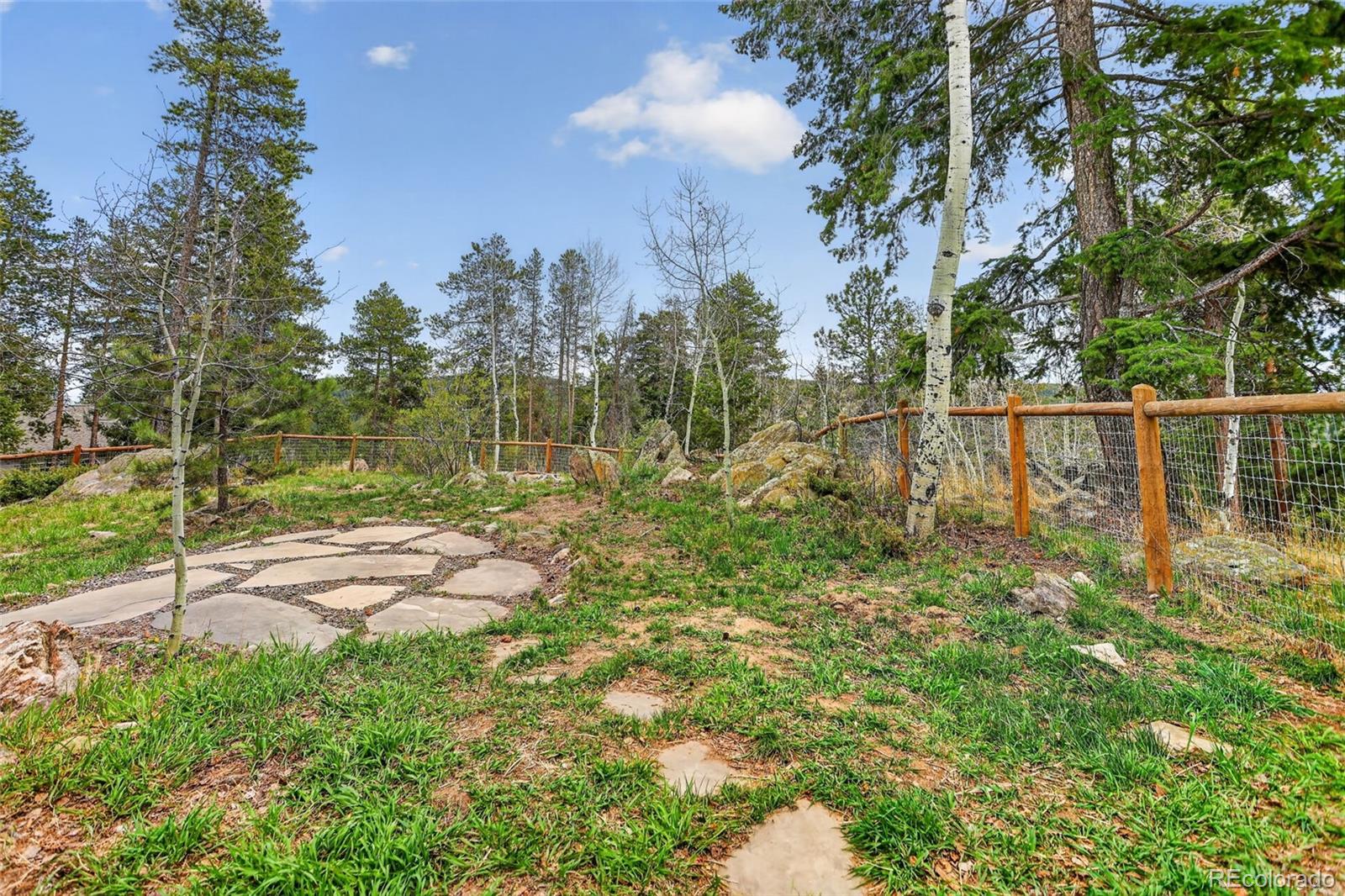 MLS Image #39 for 11049  schweigert avenue,conifer, Colorado