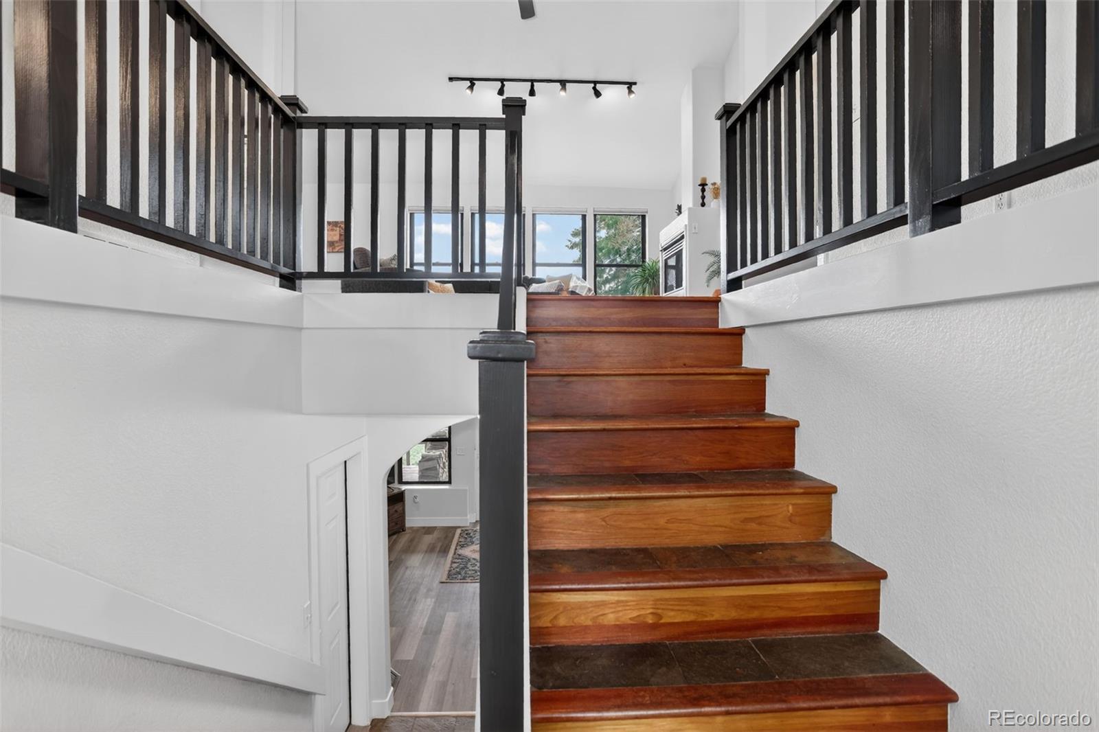 MLS Image #4 for 11049  schweigert avenue,conifer, Colorado