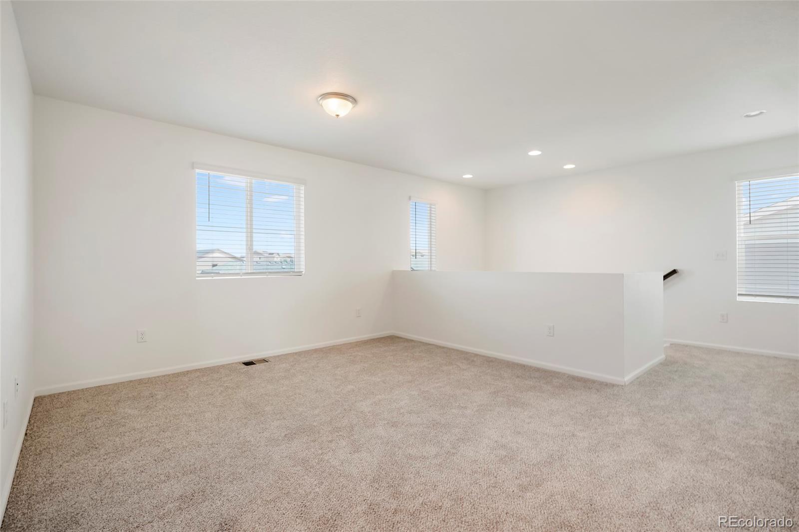MLS Image #11 for 6318  vista cliff loop,castle rock, Colorado