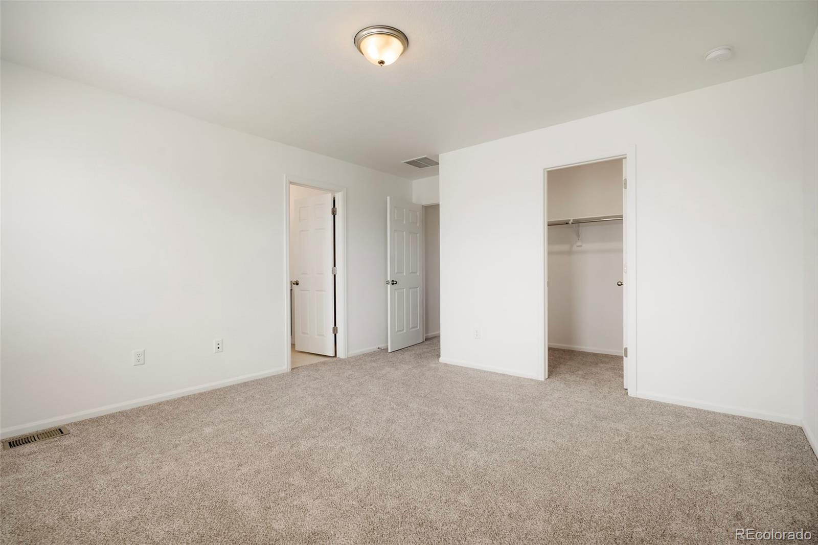 MLS Image #14 for 6318  vista cliff loop,castle rock, Colorado