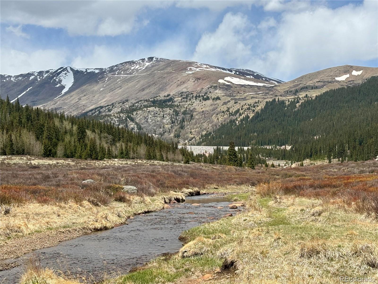MLS Image #10 for 2246  county road 4 ,alma, Colorado