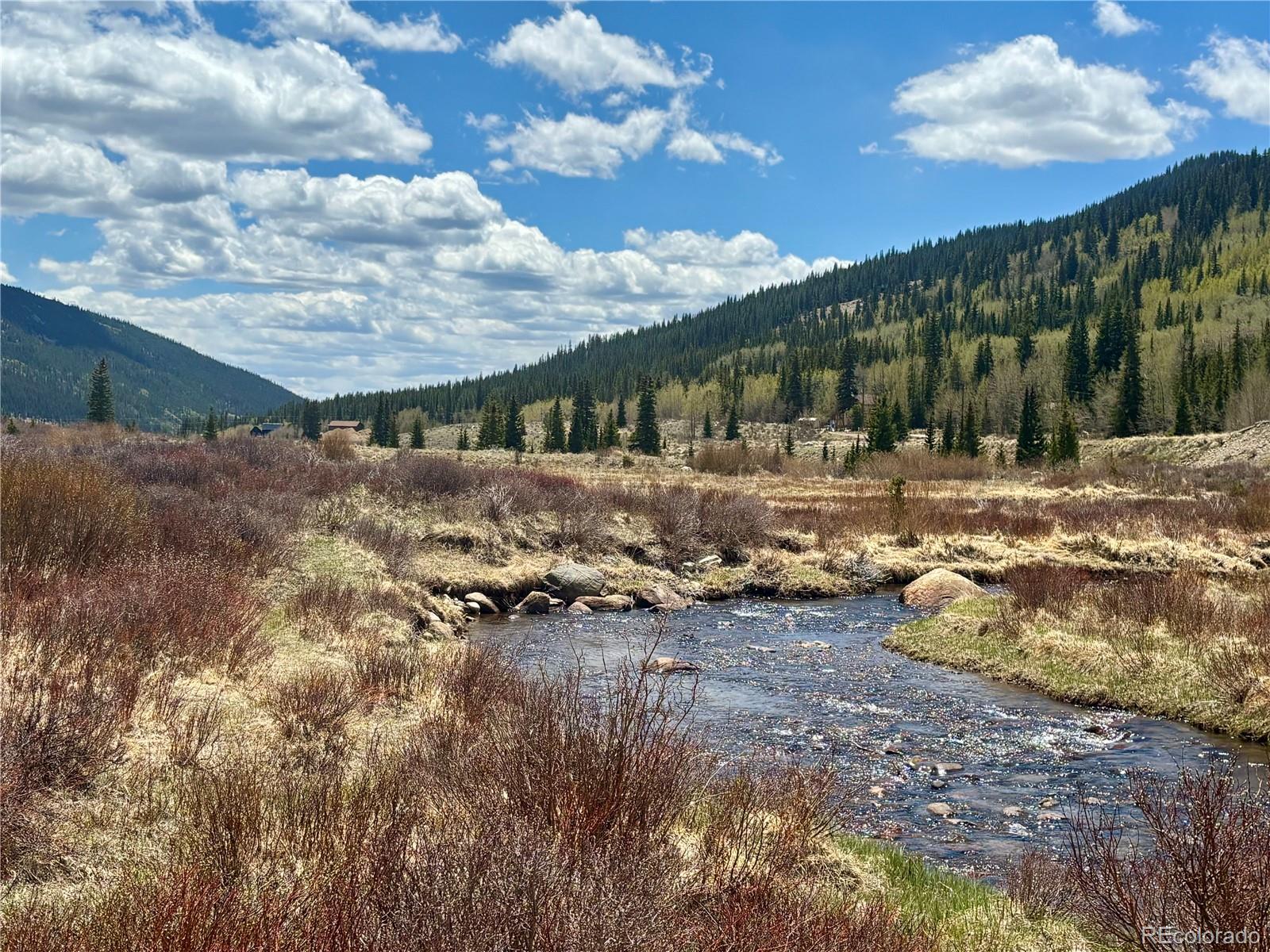 MLS Image #18 for 2246  county road 4 ,alma, Colorado