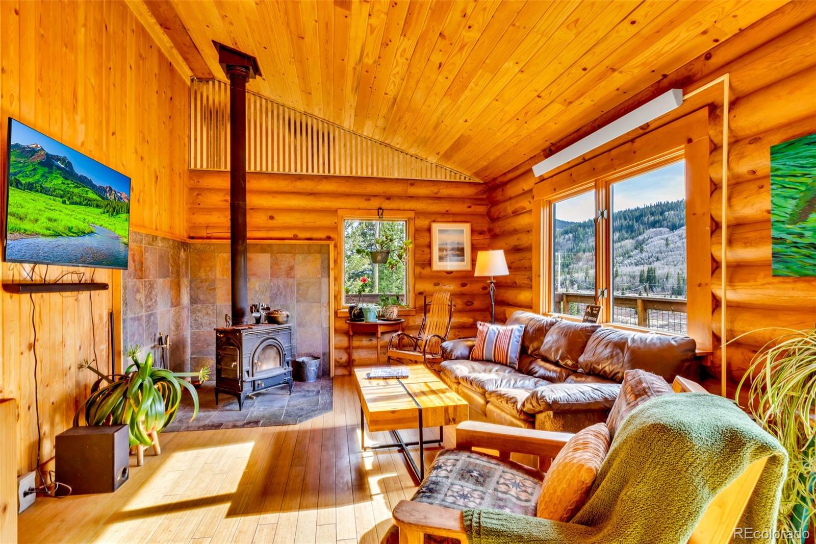 MLS Image #2 for 2246  county road 4 ,alma, Colorado