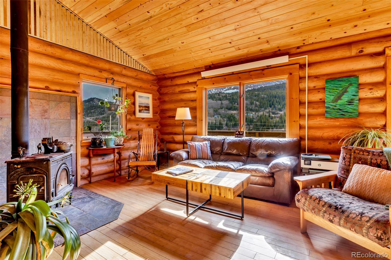 MLS Image #3 for 2246  county road 4 ,alma, Colorado